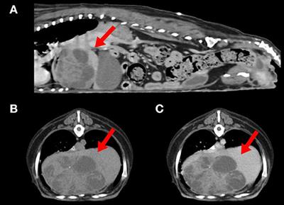 Case report: Toceranib as adjuvant chemotherapy in a dog with incompletely resected combined hepatocellular-cholangiocarcinoma